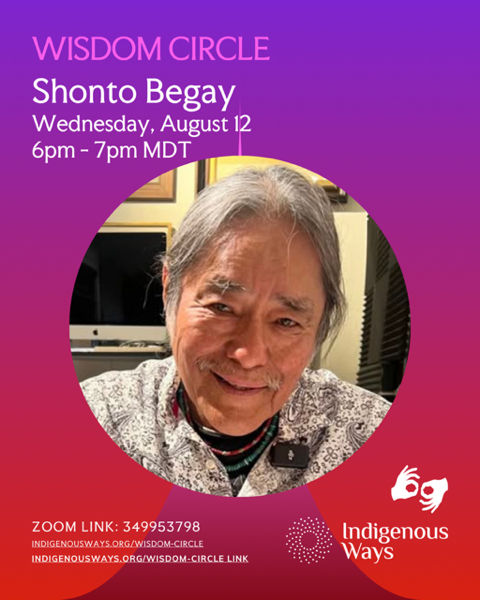 Wisdom Circle Zoom presentation with Shonto Begay.